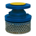 Foot Valve and Strainer - Flanged PN10 Cast Iron designed for pump suction lines and intake systems.