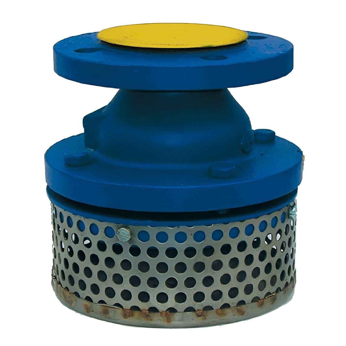 Foot Valve and Strainer - Flanged PN10 Cast Iron designed for pump suction lines and intake systems.