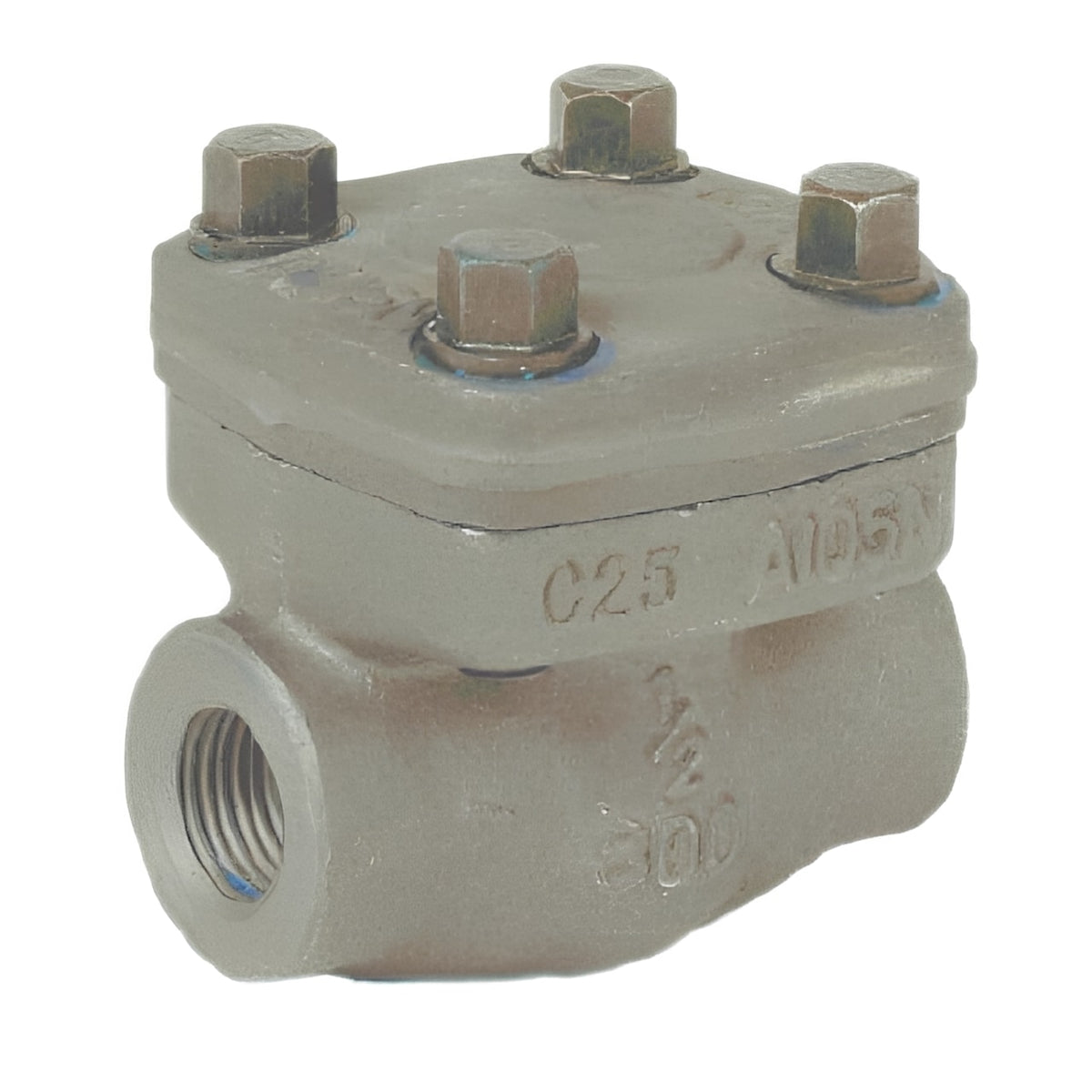 Forged Stainless Steel Lift Check Valve - BSPT Screwed CL800, robust non-return valve for industrial use.