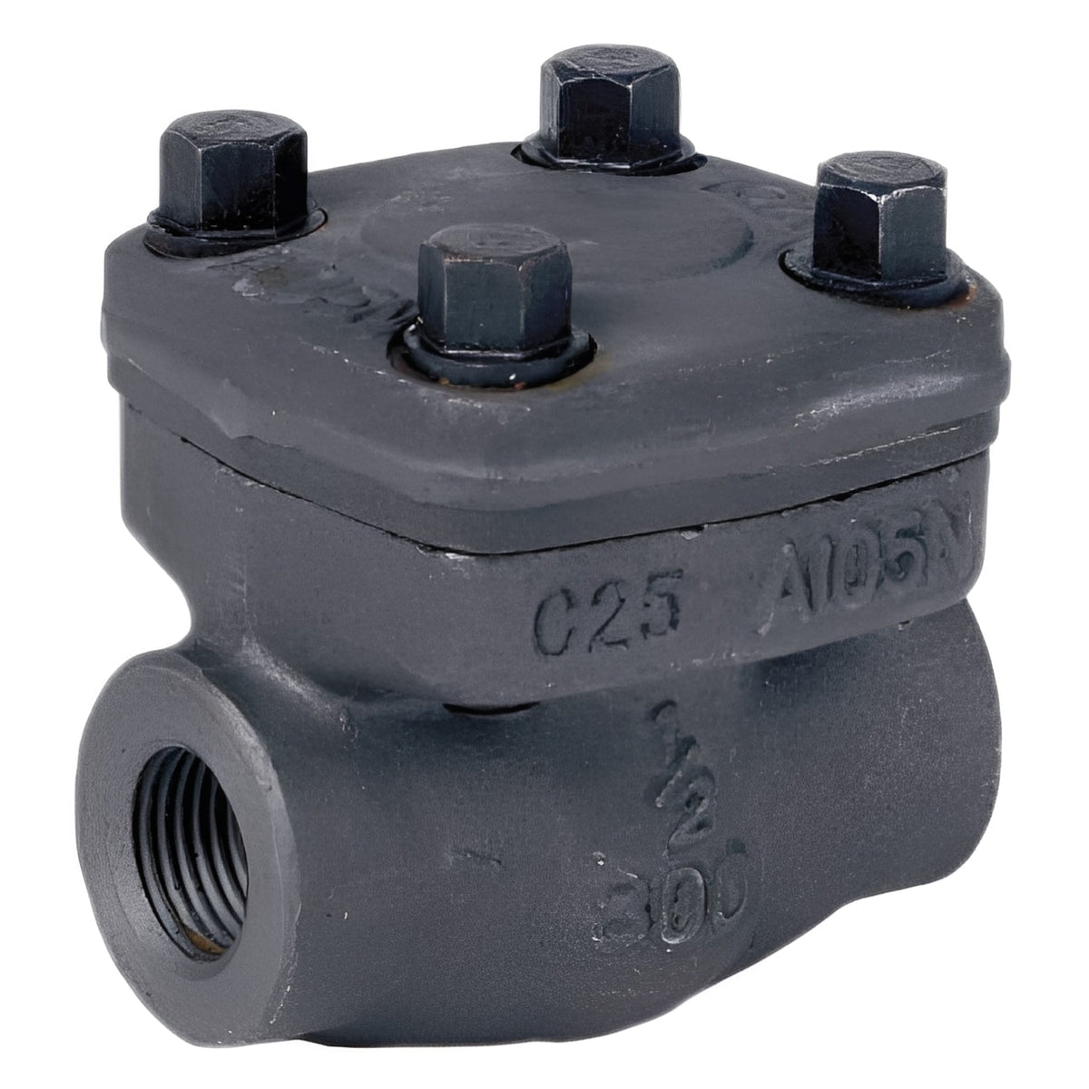 Forged Steel Check Valve - Socket Weld 136.2 Bar API 602 showing robust design and durable construction for industrial use.