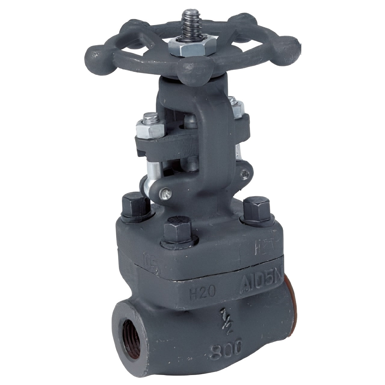 Forged Steel Gate Valve Socket Weld Class 800 ASTM A105 image showcasing durable construction and design.