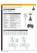 Forged Carbon Steel Globe Valve - Flanged ANSI Class 300 specifications and diagrams
