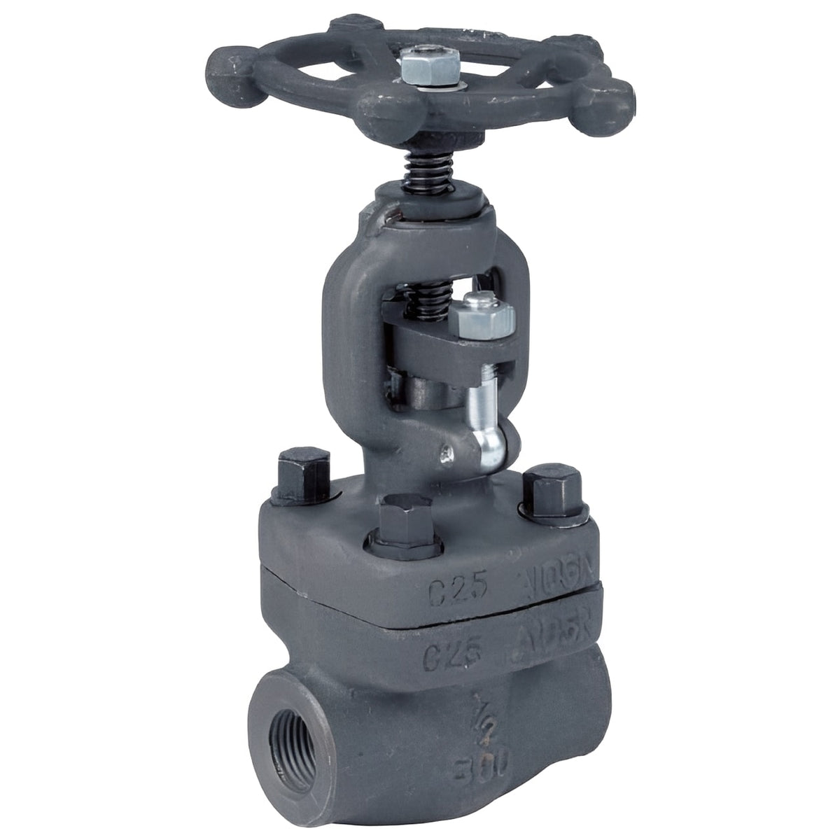 Forged Steel Globe Valve - Socket Weld Class 800 Handwheel with precise flow control mechanism.