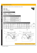 Forged Steel Strainer - Class 800 A105 Screwed BSPT specification details and construction features.