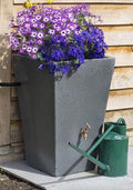 Millstone Cambridge 90L Water Butt Planter - Stone Effect with vibrant purple flowers and a green watering can