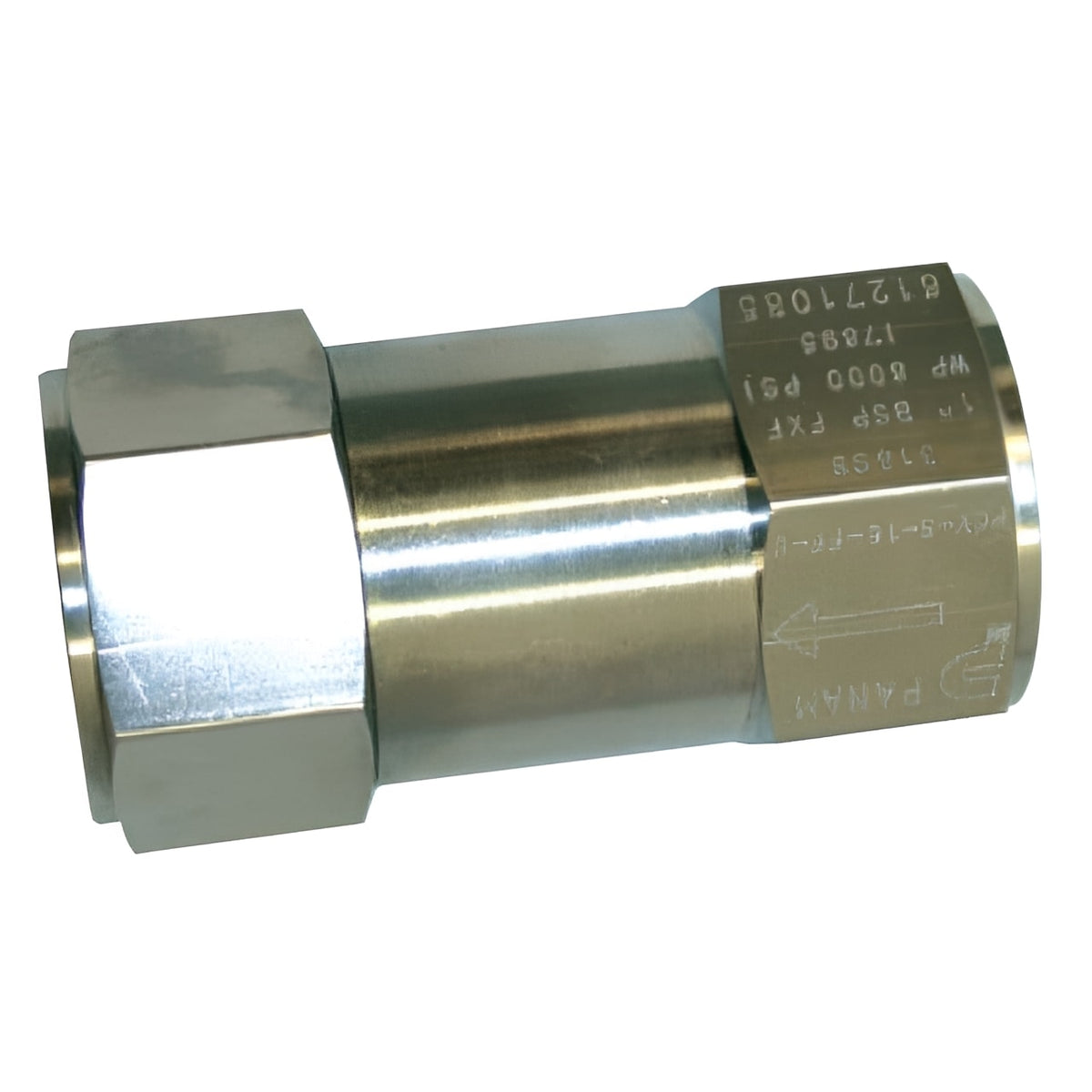Stainless Steel Check Valve - Screwed BSPP 6000psi 135°C for high-pressure industrial service.