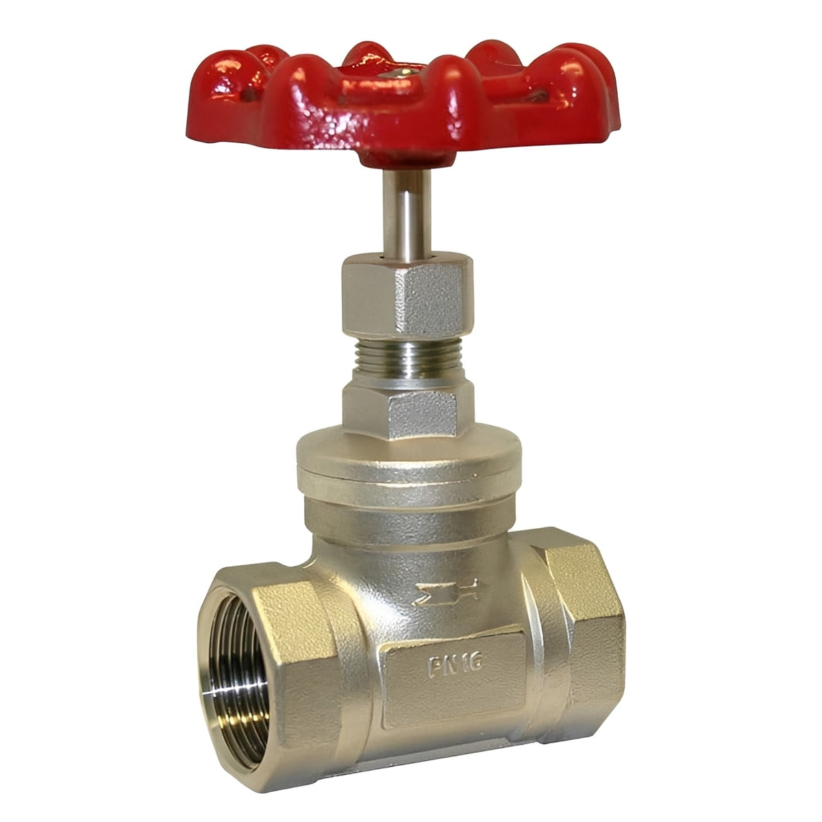 Stainless Steel Globe Valve - Screwed BSPP PN40 Handwheel showcasing durable construction and red handwheel.
