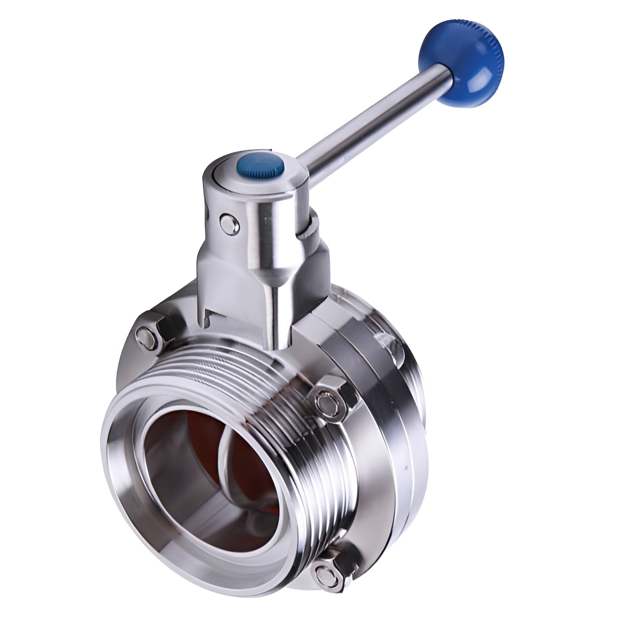 Hygienic Stainless Steel Butterfly Valve - RTJ Ends 304 EPDM for clean processing systems