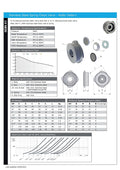 Stainless Steel Wafer Spring Check Valve - 316 Grade PN52 detailed specifications and diagrams.