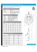 Stainless Steel Spring Swing Check Valve - Wafer Pattern PN25 specifications and technical details.