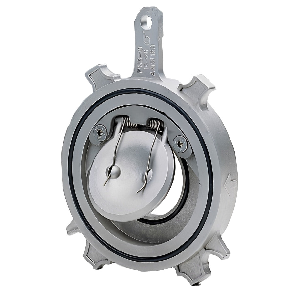 Stainless Steel Spring Swing Check Valve - Wafer Pattern PN25 with spring-assisted closure mechanism.
