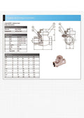 316 Stainless Steel Swing Check Valve - Screwed BSPP 200psi specifications and technical drawing.