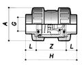 PVC Double Union Spring Check Non Return Valve - FPM Seals diagram showing dimensions A, G, L, Z, H