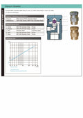 Brass Vacuum Breaker PN16 BSPP - Steam & Hot Water Systems technical diagram and specifications.