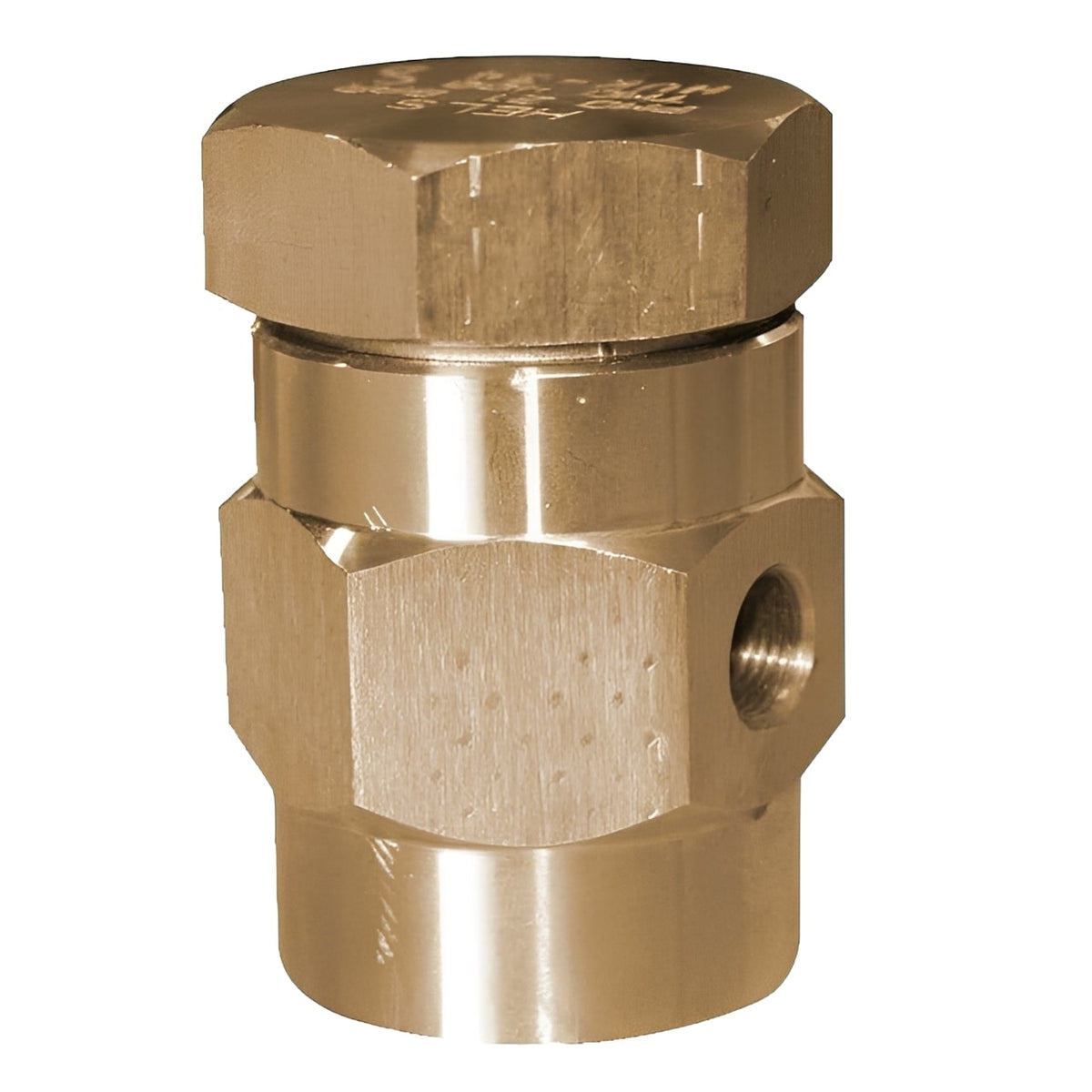 Brass Vacuum Breaker PN16 BSPP - Steam & Hot Water Systems for preventing vacuum formation in industrial applications.