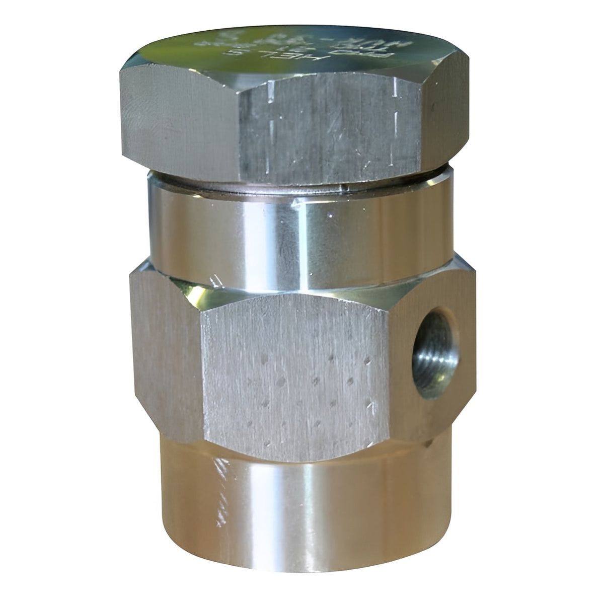 Stainless Steel Vacuum Breaker - PN25 BSPP Screwed Connection valve for reliable vacuum relief and durability.