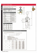 Vacuum Tanker Pressure Relief Valve - Brass Hose Connection specifications and diagram.